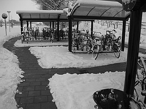 stopgladheid bollenstreek lisserbroek sneeuwruimen